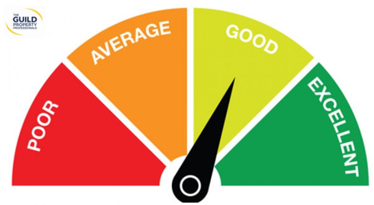 A Guide to Understanding Credit Scores